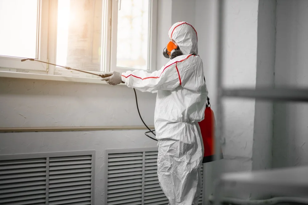 Professional mold remediation services in Theodore, AL